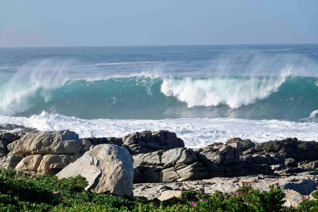 Vila Whales & Waves Hermanus Exteriér fotografie