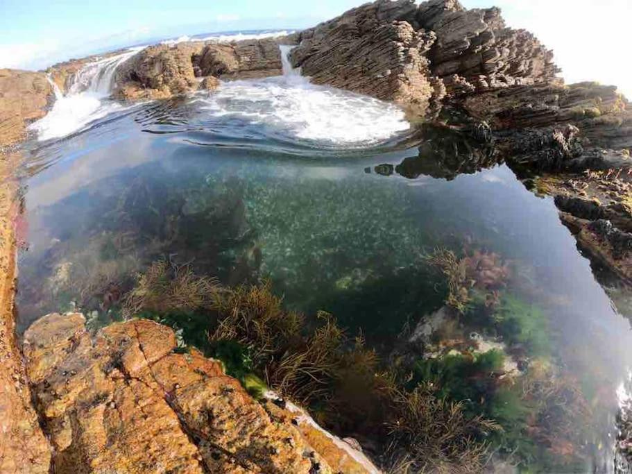 Vila Whales & Waves Hermanus Exteriér fotografie