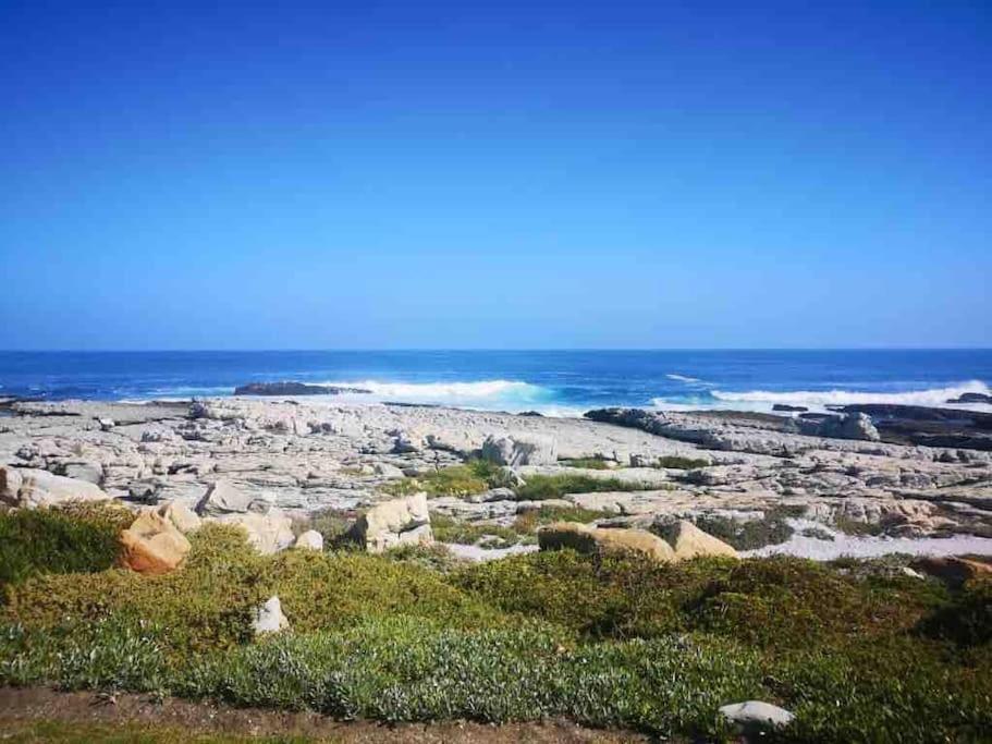 Vila Whales & Waves Hermanus Exteriér fotografie